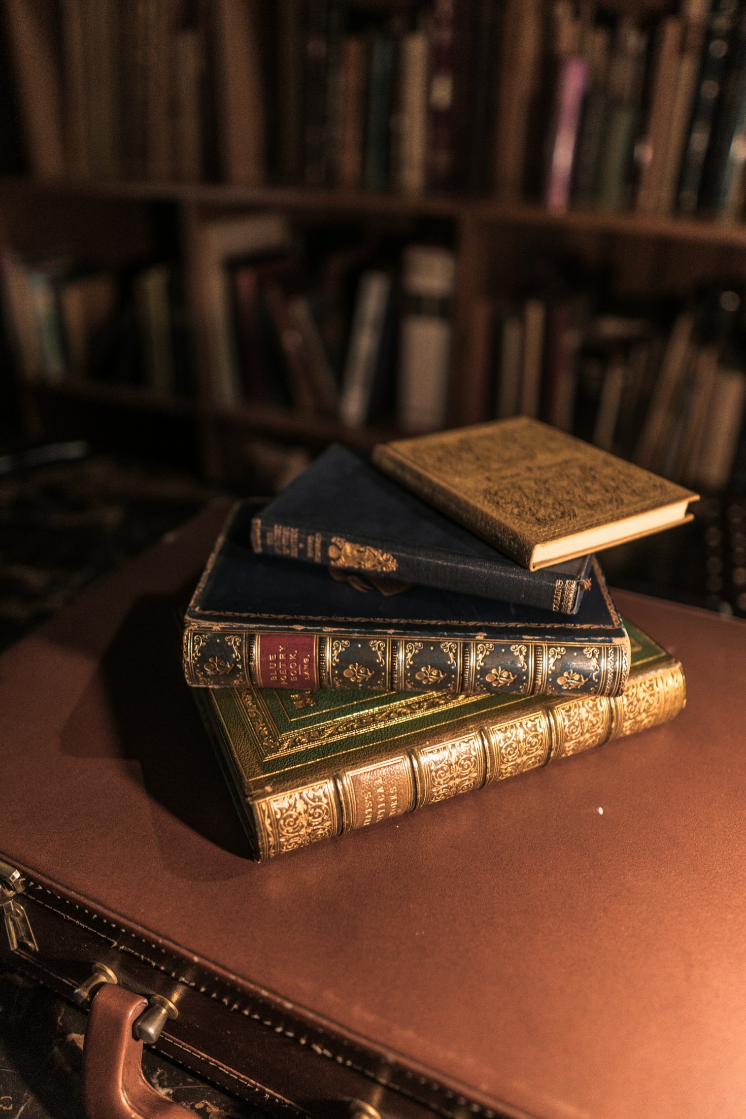 How to Tackle IB Language and Literature