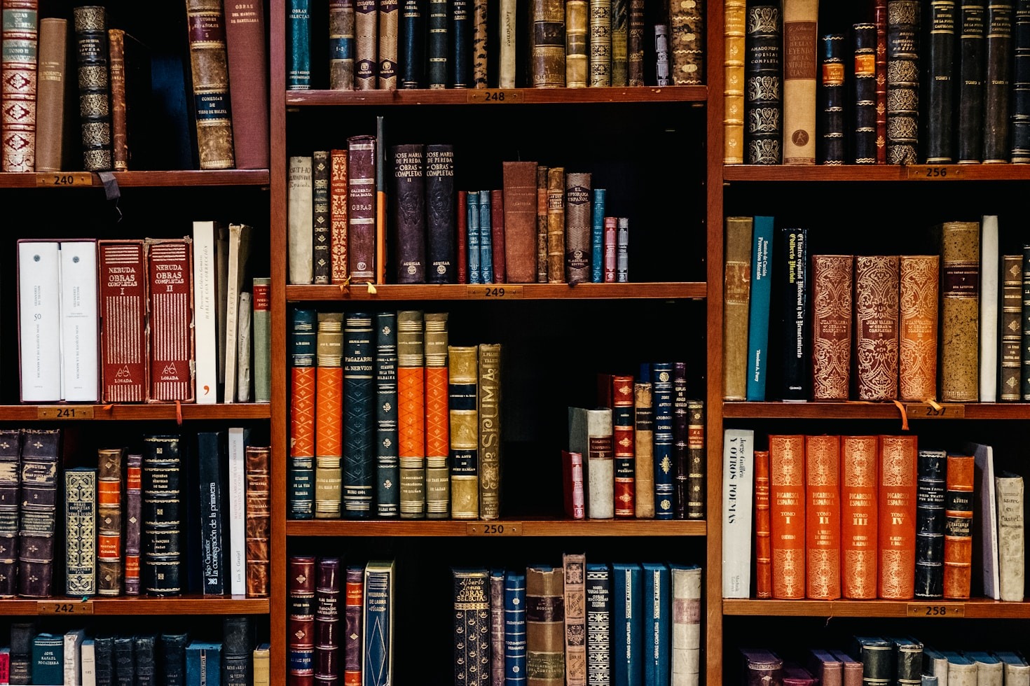 A Teacher’s Journey Through Literature and Beyond